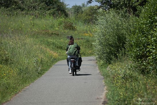 Woman_Riding_Bicycle_In_Diemerpark_Amsterdam_Netherlands_People_Creative_Collection_Photography_Canon_EOS_R5_Mark_II_2026_001.JPG