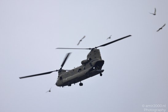 D-604_Boeing_CH-47F_Chinook_Royal_Netherlands_Air_Force_Amsterdam_Netherlands_Aviation_Photography_Canon_EOS_R5_Mark_II_2026_013.JPG