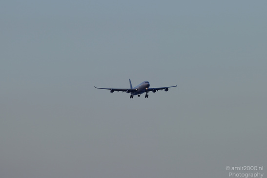 USC_Airbus_A340-313_D-AUSC_Landing_In_Larnaca_Cyprus_Aviation_Photography_Canon_EOS_R5_Mark_II_2026_001.JPG