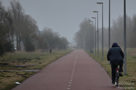 A person on a bicycle rides through a misty, tree lined path with lamps. image from year 2026 #1