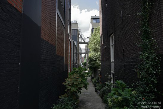 A narrow alleyway flanked by brick buildings with various plants and greenery along the sides in - image from year 2026 #003