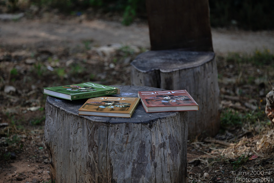 In_The_National_Park_Of_Ramat_Gan_Israel_Cityscape_Photography_Canon_EOS_R5_Mark_II_2026_001.JPG