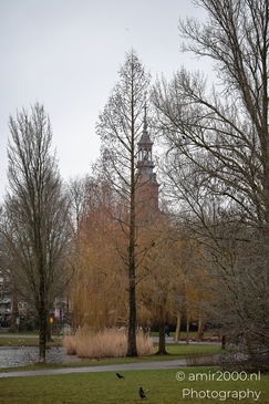 Winter landscape featuring bare trees and a pond near Oosterpark Church in Amsterdam Netherlands. image from year 2026 #1