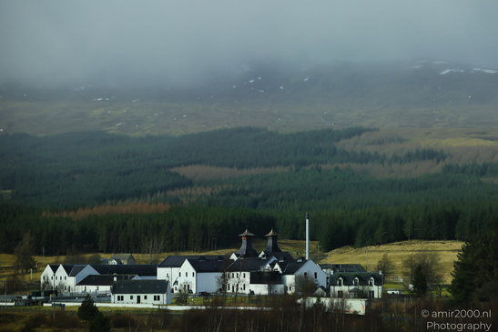 Rural Town Village a whisky distillery nestled among misty hills and dense forests. - image from year 2026 #016