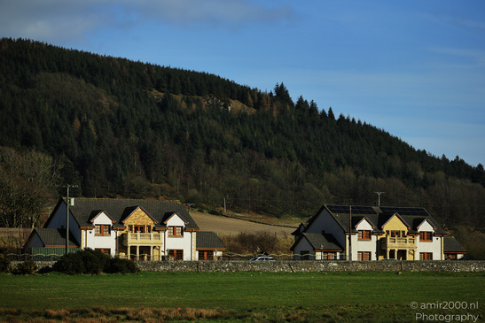 A rural village with modern houses nestled among lush green fields and a backdrop of dense - image from year 2026 #019