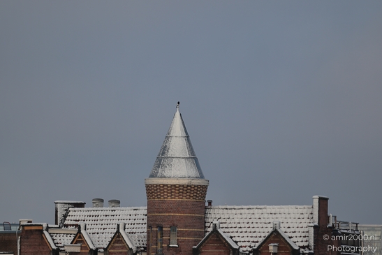 Snowcovered_Rooftops_Wittenburgergracht_Amsterdam_Netherlands_Cityscape_Photography_Canon_EOS_R5_Mark_II_2026_001.JPG