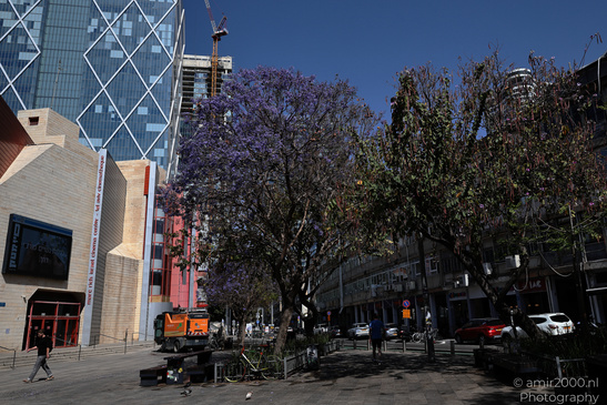 The_Streets_And_Urban_Scenery_Of_Tel_Aviv_Jaffa_Israel_Cityscape_Photography_Canon_EOS_R5_Mark_II_2026_013.JPG