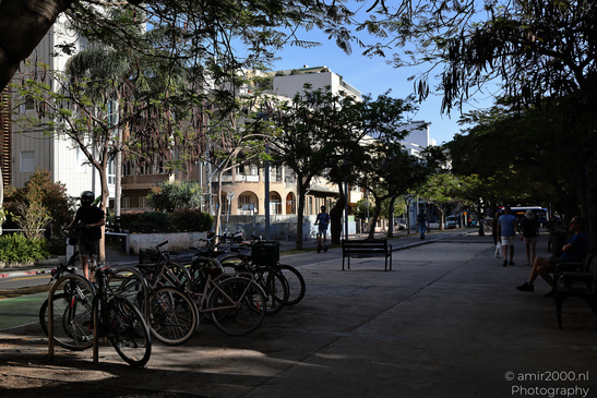 The_Streets_And_Urban_Scenery_Of_Tel_Aviv_Jaffa_Israel_Cityscape_Photography_Canon_EOS_R5_Mark_II_2026_031.JPG