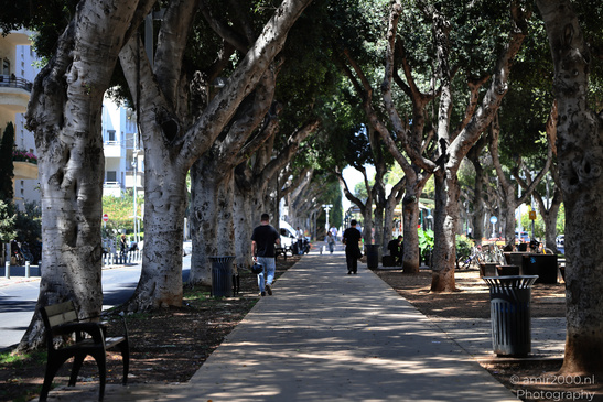 The_Streets_And_Urban_Scenery_Of_Tel_Aviv_Jaffa_Israel_Cityscape_Photography_Canon_EOS_R5_Mark_II_2026_045.JPG