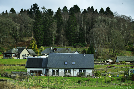 Town Pitlochry countryside with a white house surrounded by lush green fields and dense forests. - image from year 2026 #012