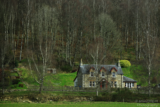 Town Pitlochry a quaint stone cottage nestled among birch trees in a countryside setting. - image from year 2026 #013