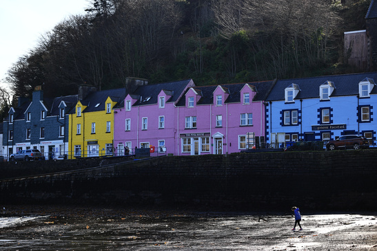 The_Town_Of_Portree_In_The_Isle_Of_Skye_In_The_Scottish_Highlands_Scotland_United_Kingdom_Cityscape_Photography_Canon_EOS_R5_Mark_II_2026_015.JPG