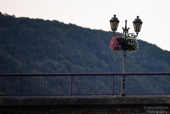 The_Urban_Scenery_And_The_Views_Of_Cochem_Rhineland_Palatinate_Germany_Cityscape_Photography_Canon_EOS_R5_Mark_II_2026_024.JPG
