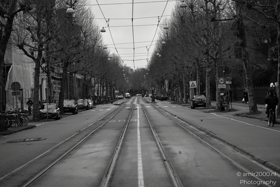 Black and white view with tram lines, cars, bicycles, pedestrians, trees, and buildings on a cloudy image from year 2026 #1
