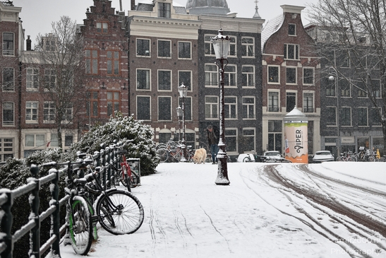Winter_In_Historic_Canal_District_In_Amsterdam_Netherlands_Cityscape_Photography_Canon_EOS_R5_Mark_II_2026_005.JPG