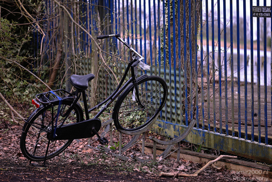 Bicycle is prominently visible in the foreground, leaning against a blue metal fence in - image from year 2026 #001