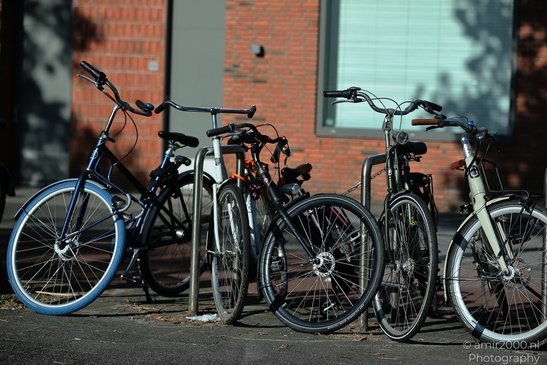 Bicycles_At_Rack_Amsterdam_Netherlands_Miscellaneous_Photography_Canon_EOS_R5_Mark_II_2026_001.JPG