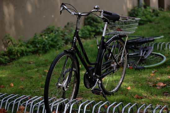 Bicycles_In_Bike_RACKS_Amsterdam_Netherlands_Miscellaneous_Photography_Canon_EOS_R5_Mark_II_2026_003.JPG