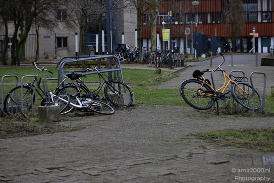 A collection of bicycles locked to metal barriers and poles on an urban with buildings. image from year 2026 #1