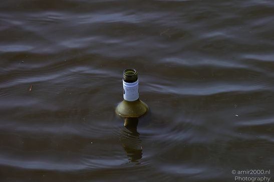 A lone beer bottle floats on the surface of rippling water. - image from year 2026 #001