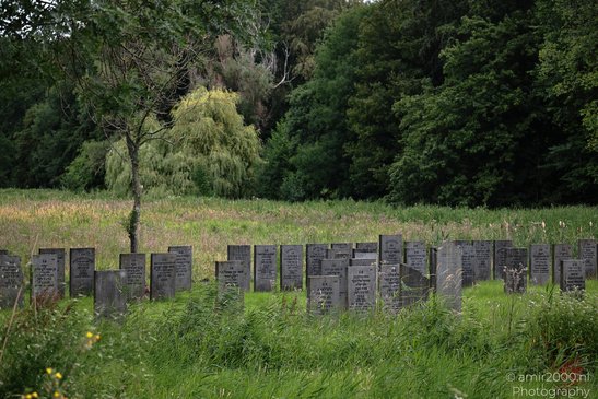 Joodse_Begraafplaats_Zeeburg_Amsterdam_Netherlands_Miscellaneous_Photography_Canon_EOS_R5_Mark_II_2026_001.JPG