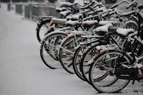 Snowy_Bicycles_Winter_Landscape_Amsterdam_Netherlands_Miscellaneous_Photography_Canon_EOS_R5_Mark_II_2026_002.JPG
