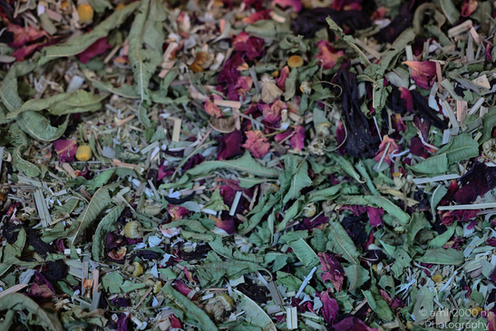 Stall_Scenery_At_The_Markets_Of_Tel_Aviv_Jaffa_Israel_Miscellaneous_Photography_Canon_EOS_R5_Mark_II_2026_011.JPG