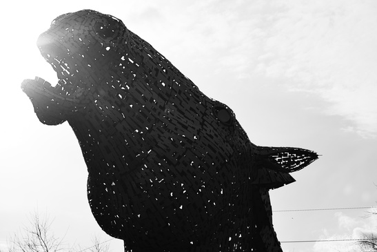A large, black sculpture of a horse's head appear together in Scotland United Kingdom. - image from year 2026 #003