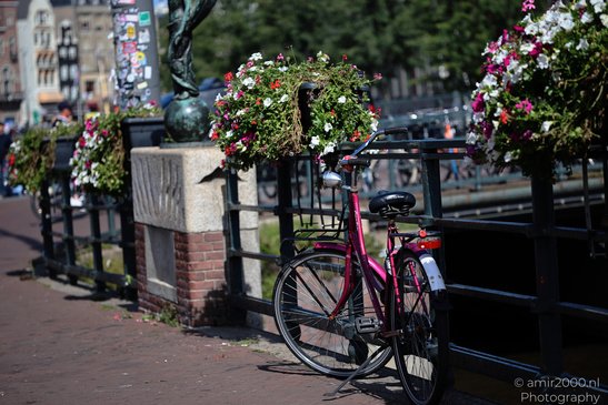 The_Uniqueness_City_Of_Bicycles_Amsterdam_Netherlands_Miscellaneous_Photography_Canon_EOS_R5_Mark_II_2026_003.JPG
