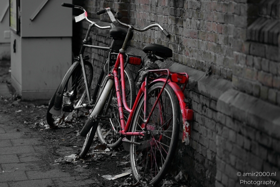 Red and black bicycles locked to a fence in Amsterdam Netherlands. image from year 2026 #2