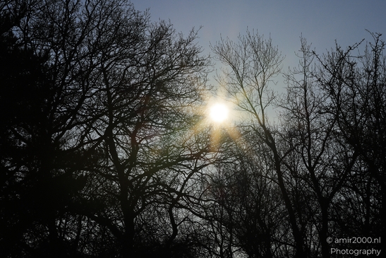 Afternoon_Walk_Through_Zuid_Kennemerland_Nature_Landscape_Netherlands_Nature_Photography_Canon_EOS_R5_Mark_II_2026_001.JPG