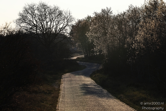 Afternoon_Walk_Through_Zuid_Kennemerland_Nature_Landscape_Netherlands_Nature_Photography_Canon_EOS_R5_Mark_II_2026_005.JPG
