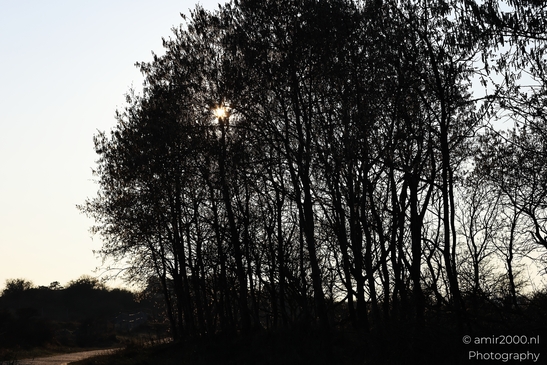 Afternoon_Walk_Through_Zuid_Kennemerland_Nature_Landscape_Netherlands_Nature_Photography_Canon_EOS_R5_Mark_II_2026_006.JPG