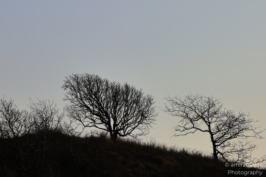 Afternoon_Walk_Through_Zuid_Kennemerland_Nature_Landscape_Netherlands_Nature_Photography_Canon_EOS_R5_Mark_II_2026_007.JPG