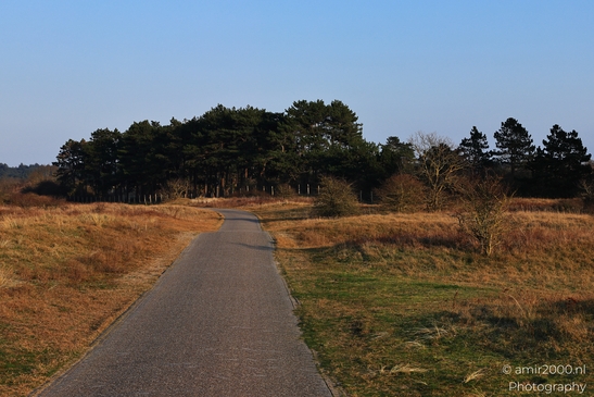 Afternoon_Walk_Through_Zuid_Kennemerland_Nature_Landscape_Netherlands_Nature_Photography_Canon_EOS_R5_Mark_II_2026_008.JPG