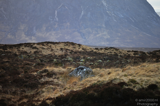 Altnafeadh_Viewpoint_In_The_Scottish_Highlands_Scotland_United_Kingdom_Nature_Photography_Canon_EOS_R5_Mark_II_2026_011.JPG