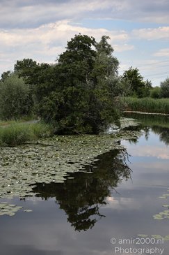Around_Diemerbos_Diemen_Netherlands_Nature_Photography_Canon_EOS_R5_Mark_II_2026_004.JPG
