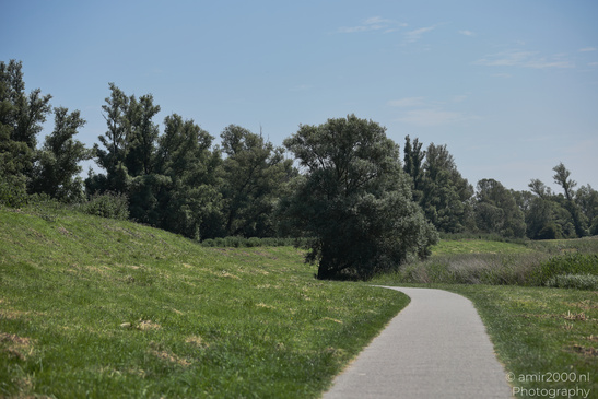 Around_Diemerpark_Amsterdam_Netherlands_Nature_Photography_Canon_EOS_R5_Mark_II_2026_001.JPG