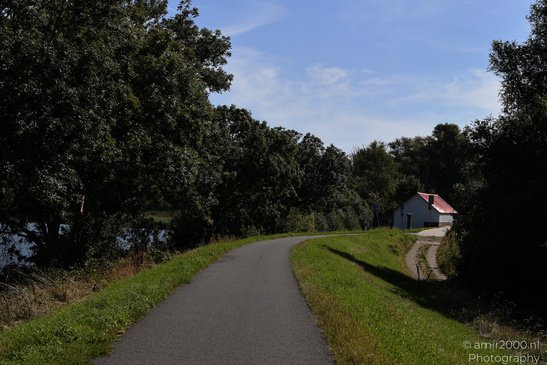 Around_Diemerpark_Amsterdam_Netherlands_Nature_Photography_Canon_EOS_R5_Mark_II_2026_006.JPG