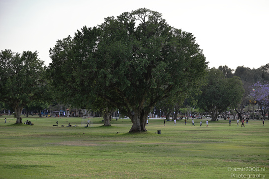 At_The_National_Park_Of_Ramat_Gan_Israel_Nature_Photography_Canon_EOS_R5_Mark_II_2026_001.JPG
