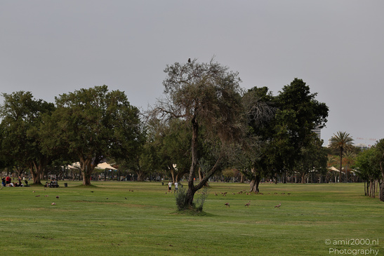 At_The_National_Park_Of_Ramat_Gan_Israel_Nature_Photography_Canon_EOS_R5_Mark_II_2026_003.JPG