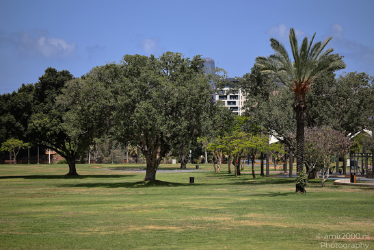 At_The_National_Park_Of_Ramat_Gan_Israel_Nature_Photography_Canon_EOS_R5_Mark_II_2026_005.JPG