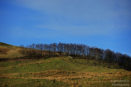 A hillside with patches of green and brown grass, a line of bare trees on top, and a clear blue - image from year 2026 #006