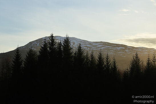 A forested area in the foreground with snow capped mountains in the background under a partly - image from year 2026 #008
