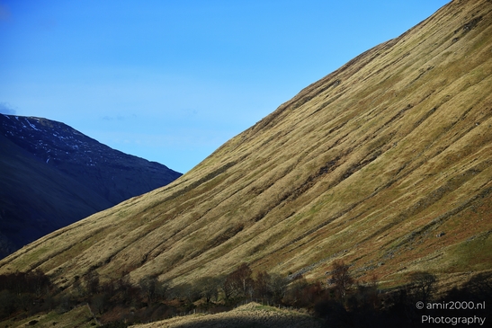 A steep hillside covered with dry grass and some scattered trees at its base under a clear blue - image from year 2026 #016