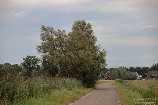 Bijlmerbroek_Polder_Amsterdam_Netherlands_Nature_Photography_Canon_EOS_R5_Mark_II_2026_003.JPG