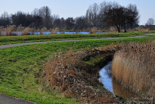 Bullewijker_And_Holendrechter_Polder_Ouderkerk_Aan_De_Amstel_Netherlands_Nature_Photography_Canon_EOS_R5_Mark_II_2026_002.JPG