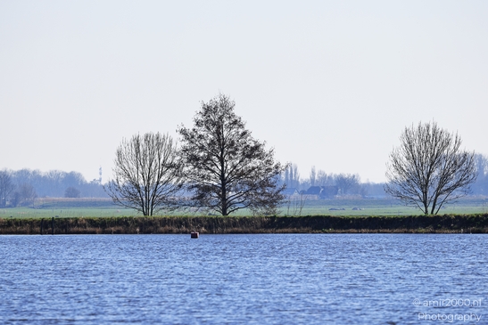 Lake with a distant tree line and clear sky. - image from year 2026 #010