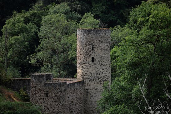 A medieval castle tower surrounded by lush green trees in a forested area in Rhineland - image from year 2026 #006