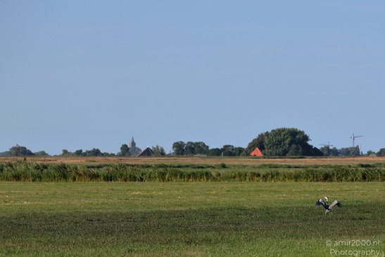 Countryside_Of_Waterland_During_The_Partial_Eclipse_Noord_Holland_Netherlands_Nature_Photography_Canon_EOS_R5_Mark_II_2026_001.JPG